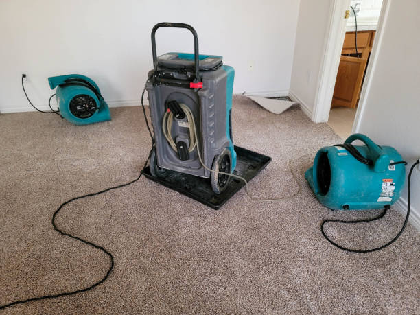 Best Emergency water damage restoration  in North Boston, NY