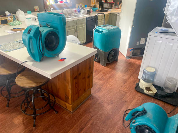 Best 24-hour water damage restoration  in North Boston, NY
