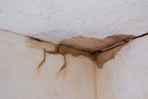 Best Professional water damage repair  in North Boston, NY