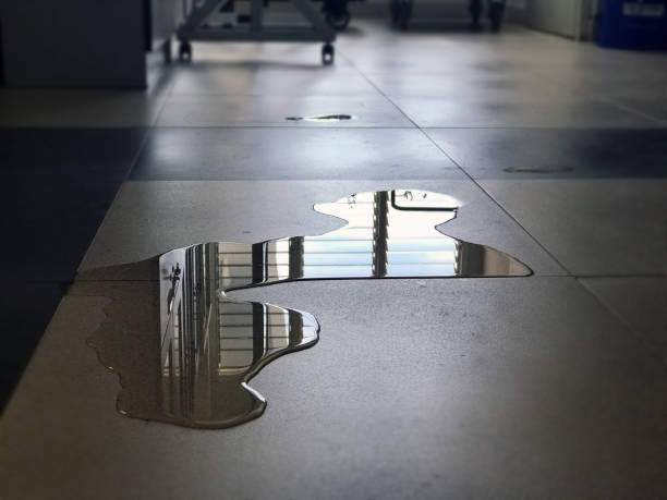 Best Water damage mitigation services  in North Boston, NY