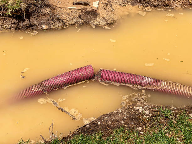 Best Flood damage cleanup  in North Boston, NY