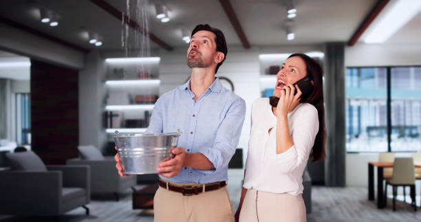 Best Flooded house restoration  in North Boston, NY