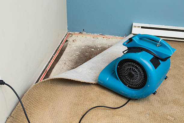 Best 24-hour water damage restoration  in North Boston, NY